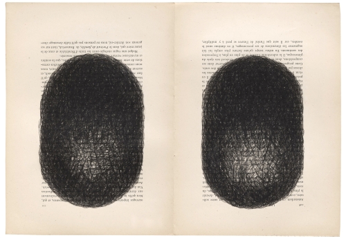 Oeuvre Delphine de Luppe Zeuxis