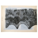 Peinture Delphine de Luppe Zeuxis