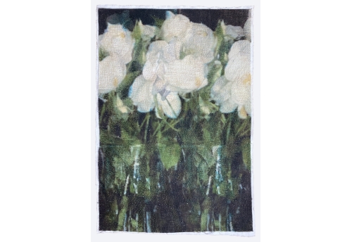 Moonlight Blooms II