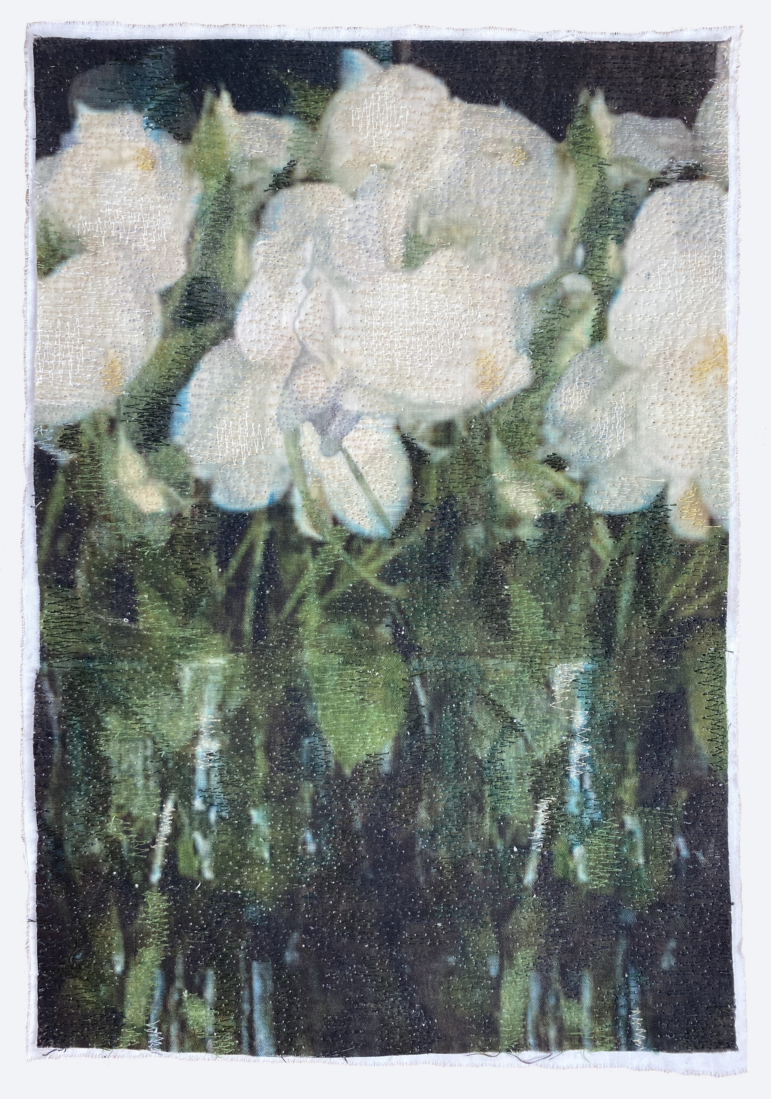 Moonlight Blooms II