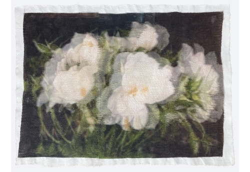 Moonlight Blooms III