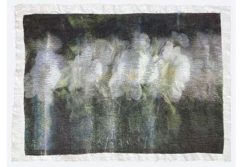 Moonlight Blooms V