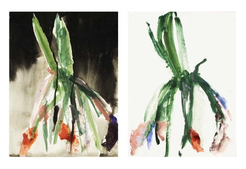 Jacinthes clair obscur (Diptyque)