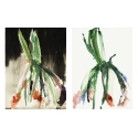 Jacinthes clair obscur (Diptyque)