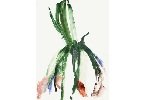 Jacinthes clair obscur (Diptyque)