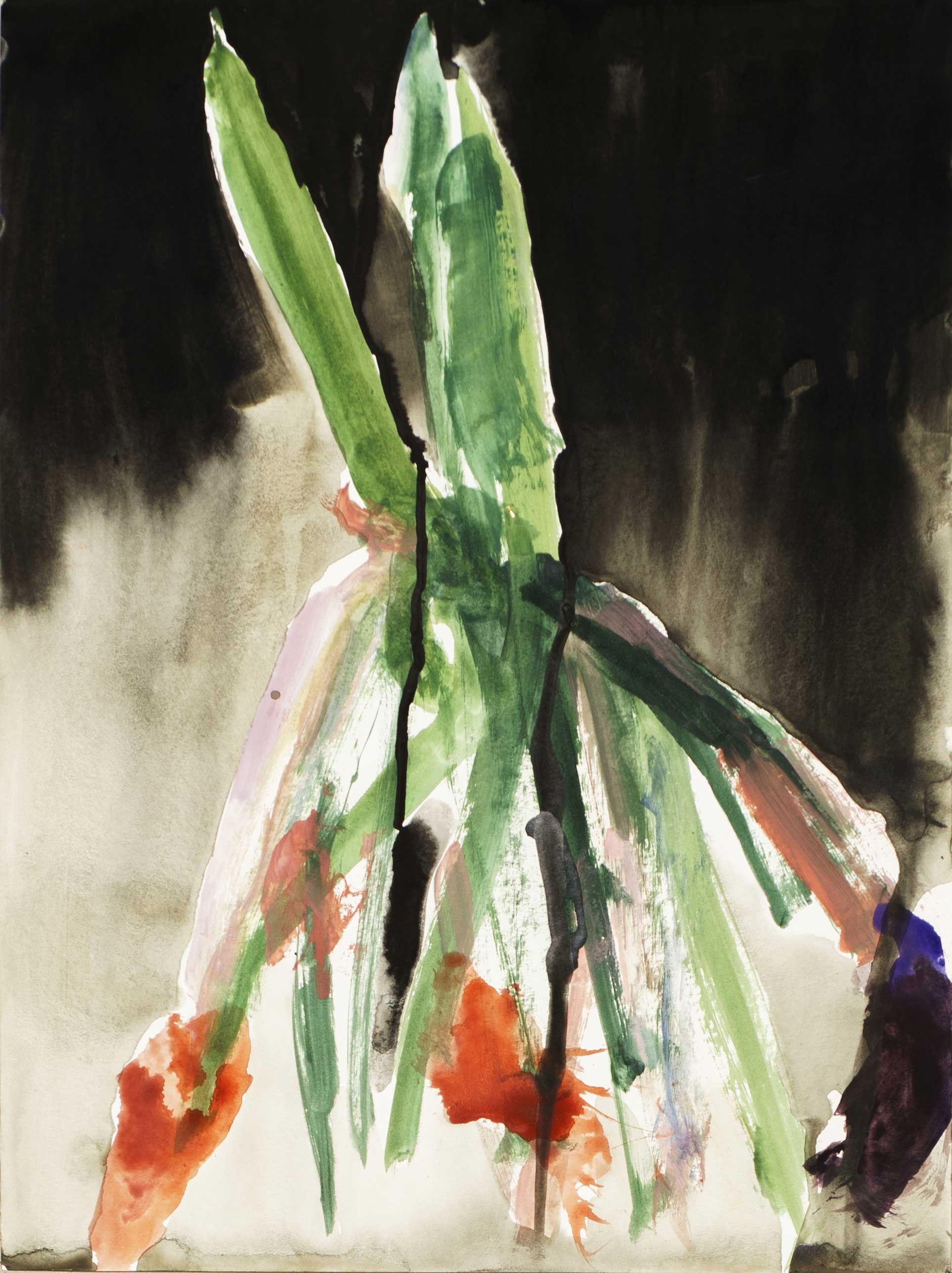 Jacinthes clair obscur (Diptyque)