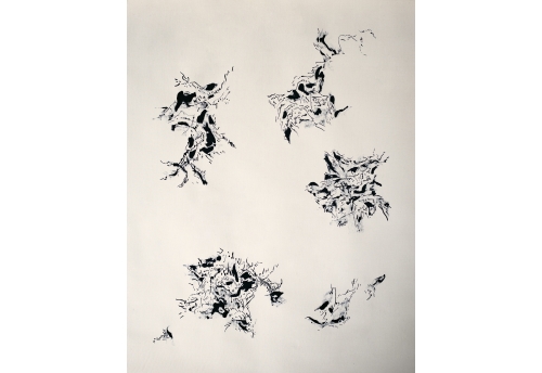 Untitled (250912)