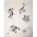 Untitled (250912)