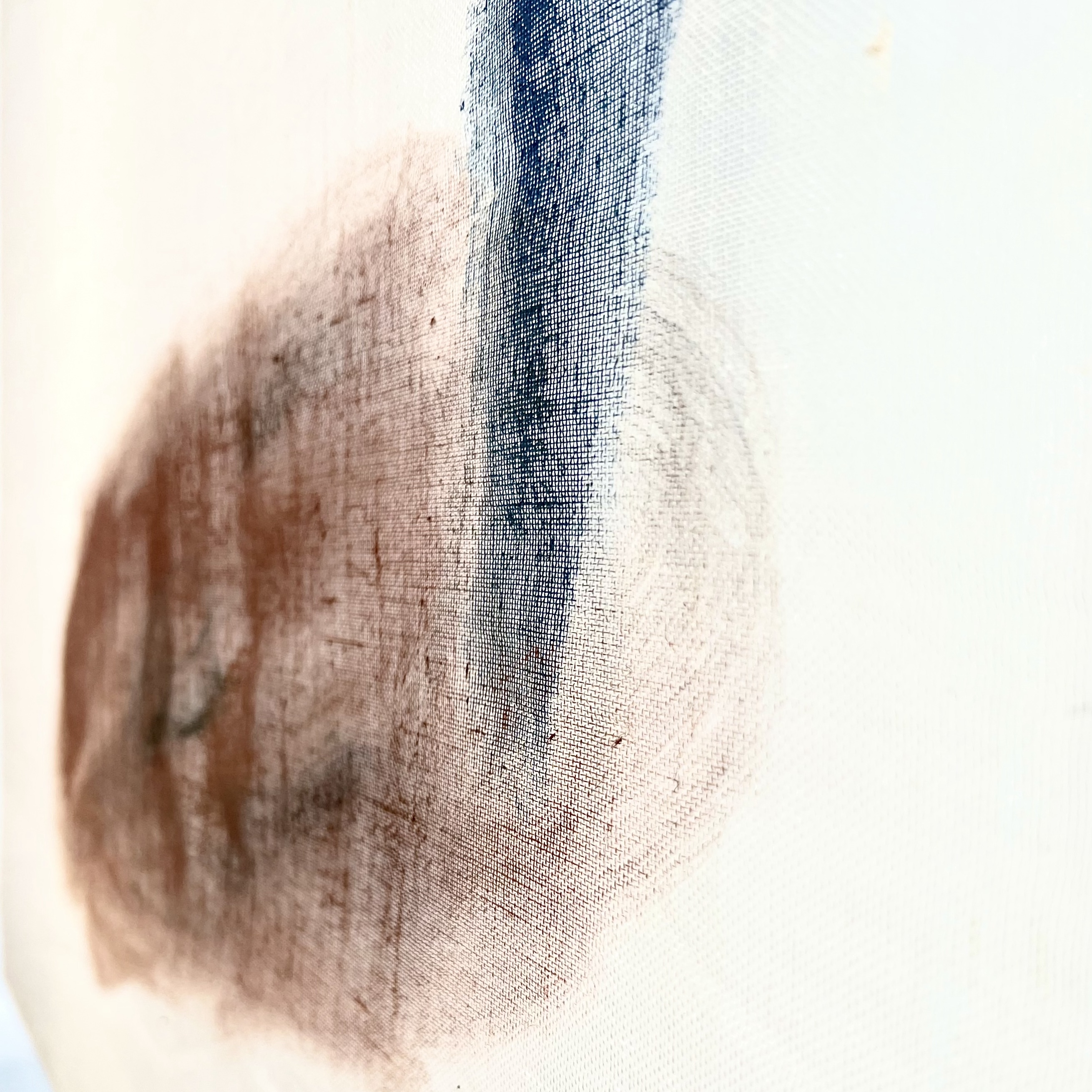 Mindscape 38