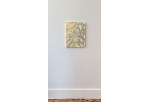 Waverly Avenue, 5:26 pm