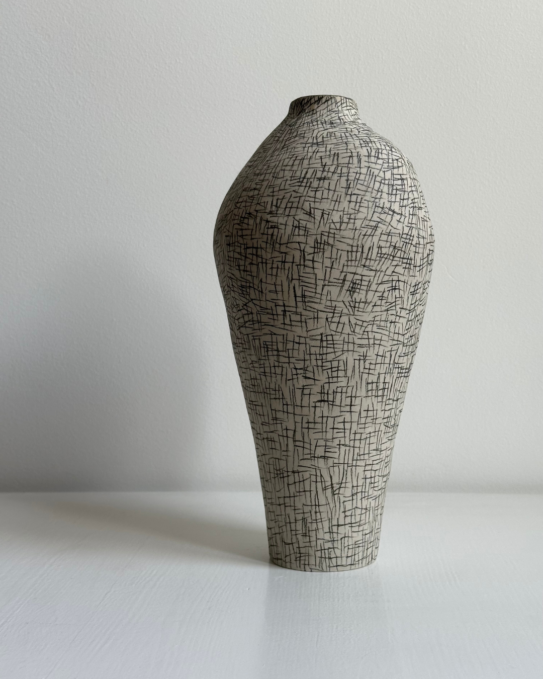 Regno animale [RA_07_39]