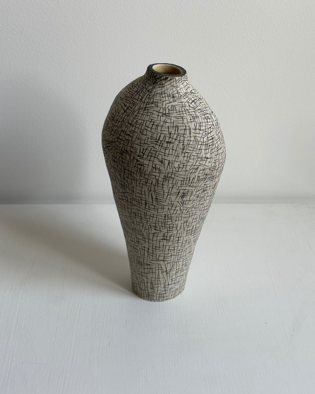 Regno animale [RA_07_39]