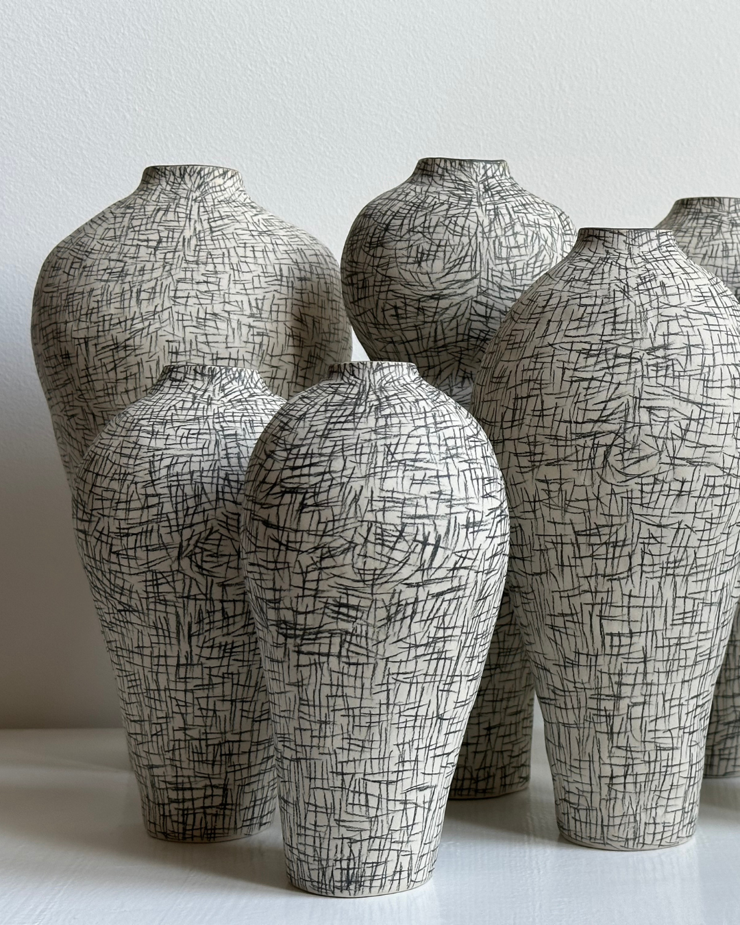 Regno animale [RA_07_39]