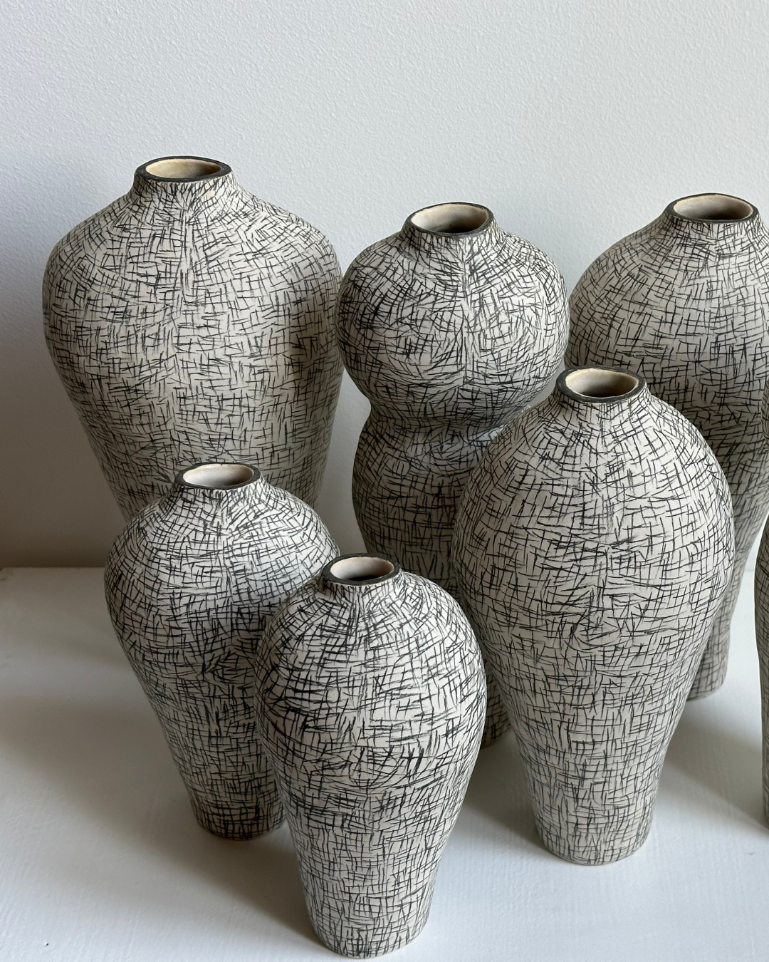 Regno animale [RA_07_39]