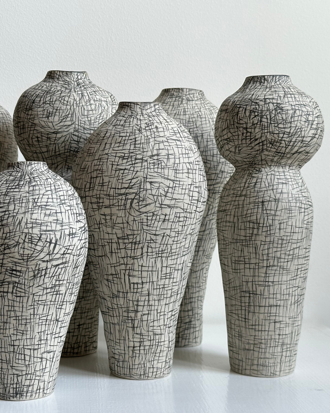 Regno animale [RA_07_40]