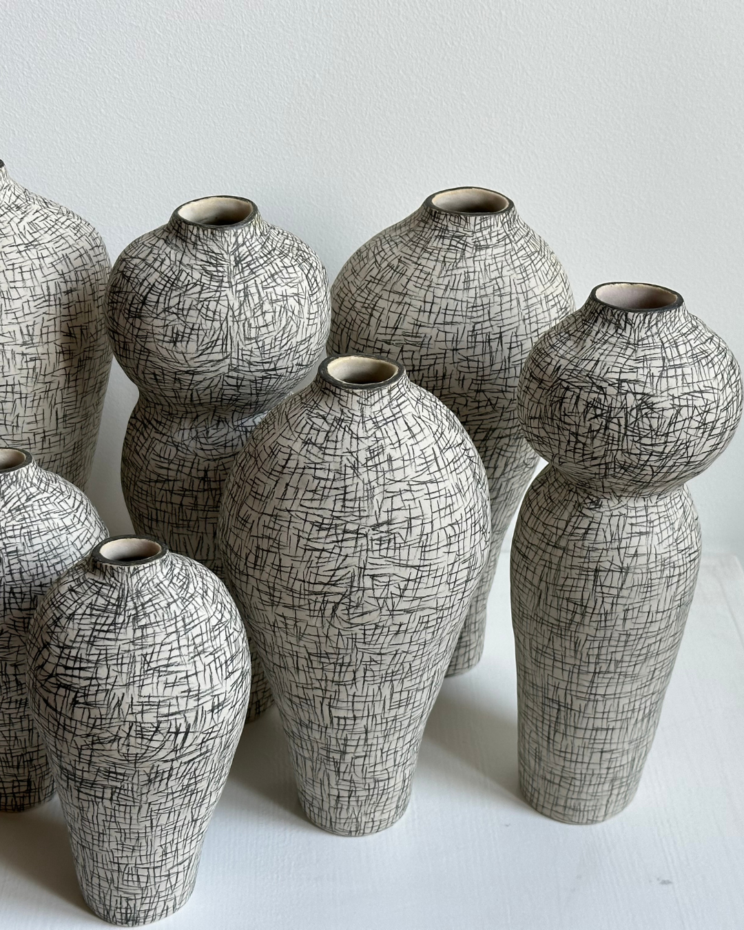 Regno animale [RA_07_40]