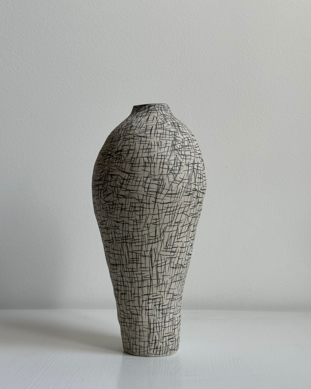 Regno animale [RA_07_40]