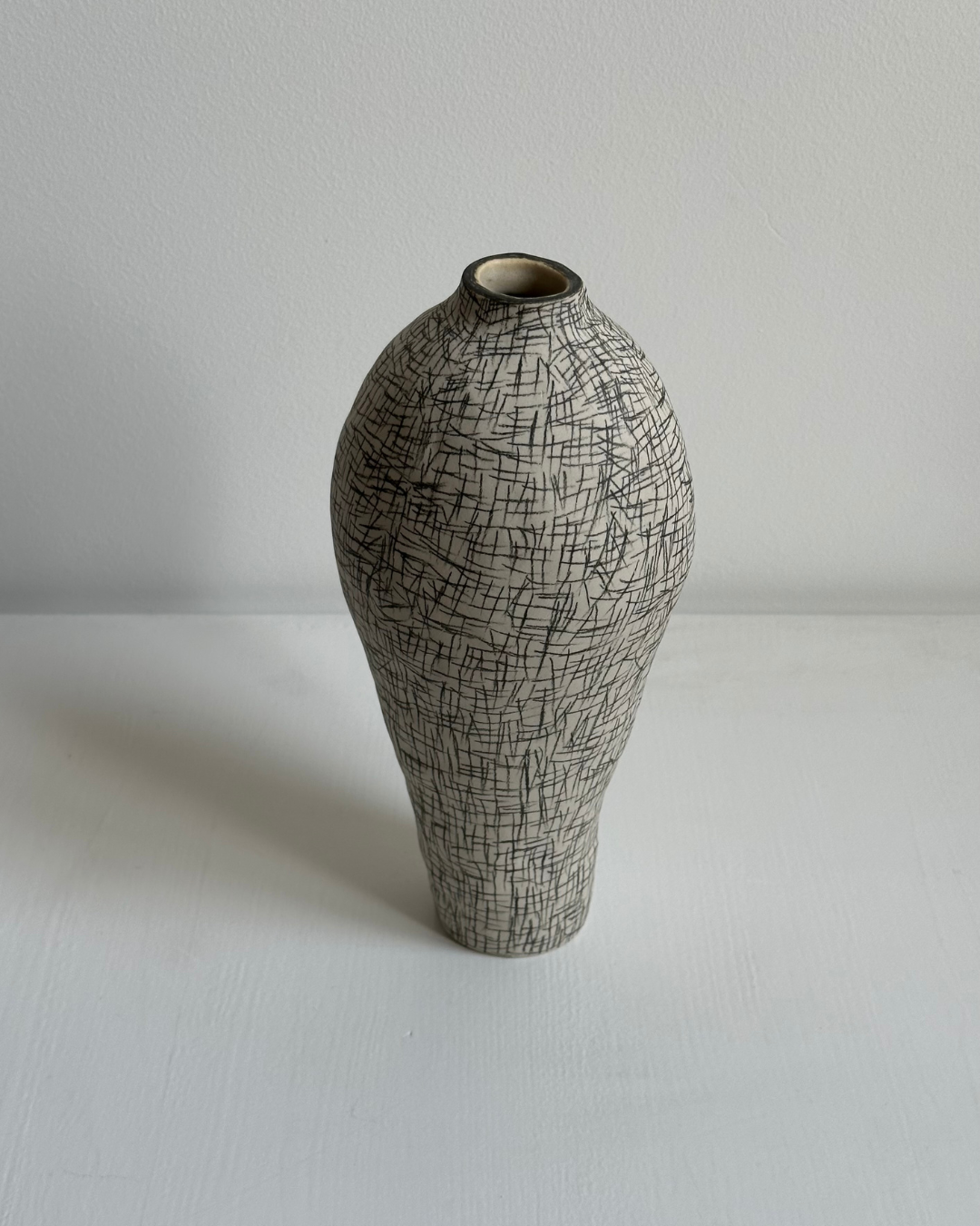 Regno animale [RA_07_40]