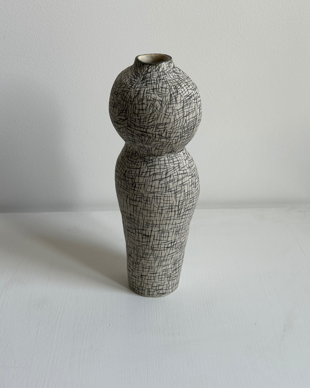 Regno animale [RA_07_44]