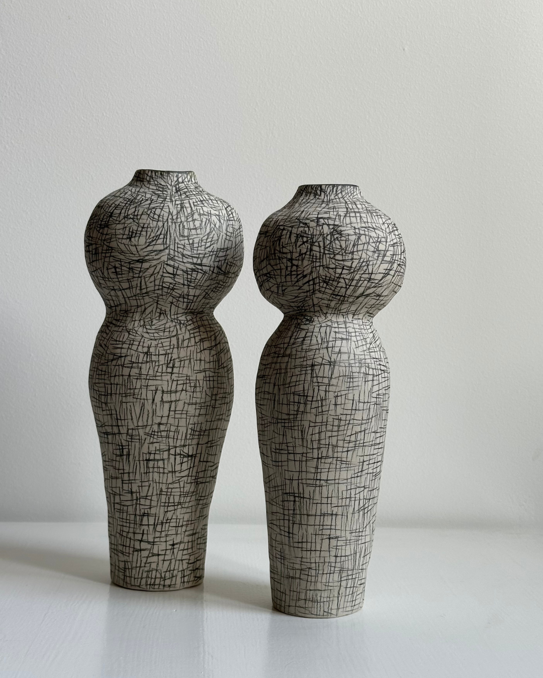 Regno animale [RA_07_44]