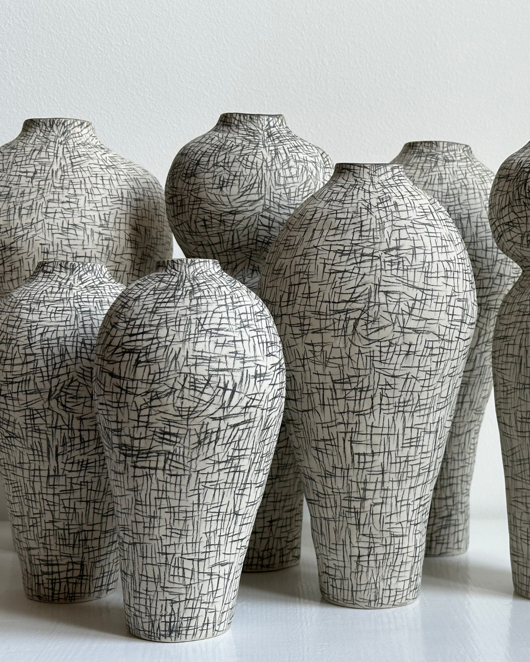 Regno animale [RA_07_44]