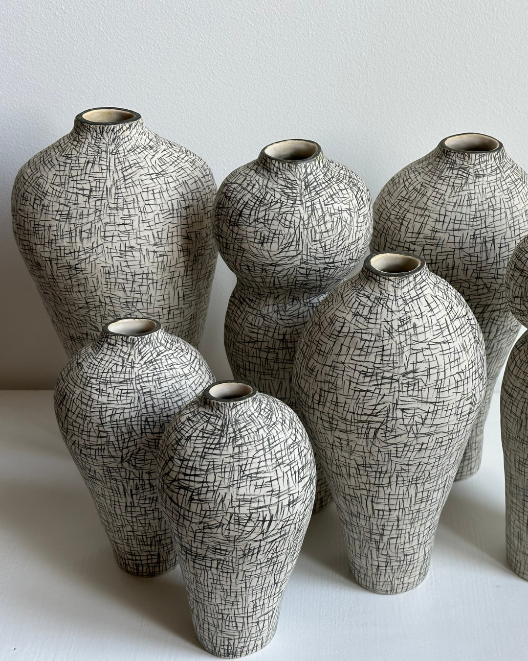 Regno animale [RA_07_44]