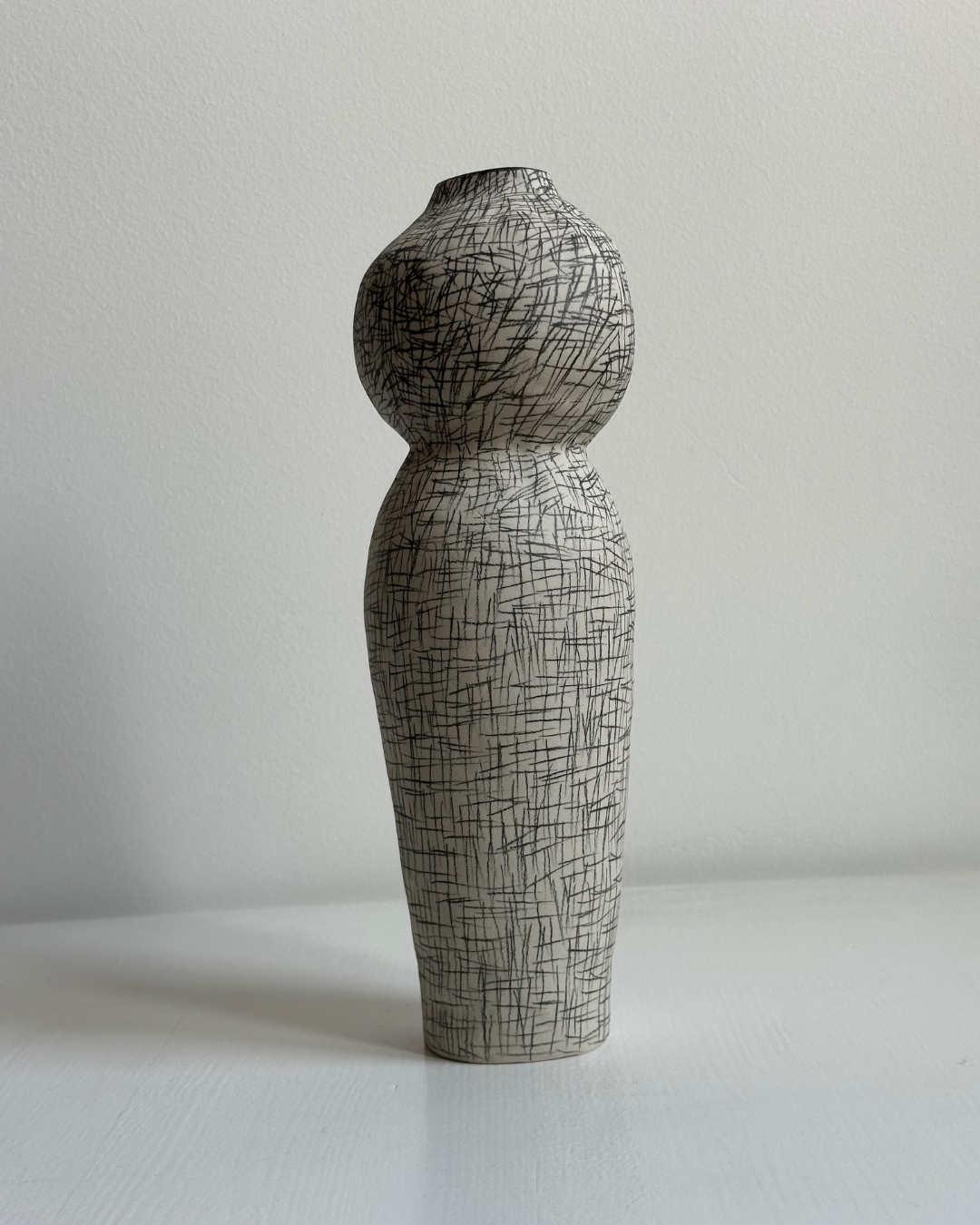 Regno animale [RA_07_44]