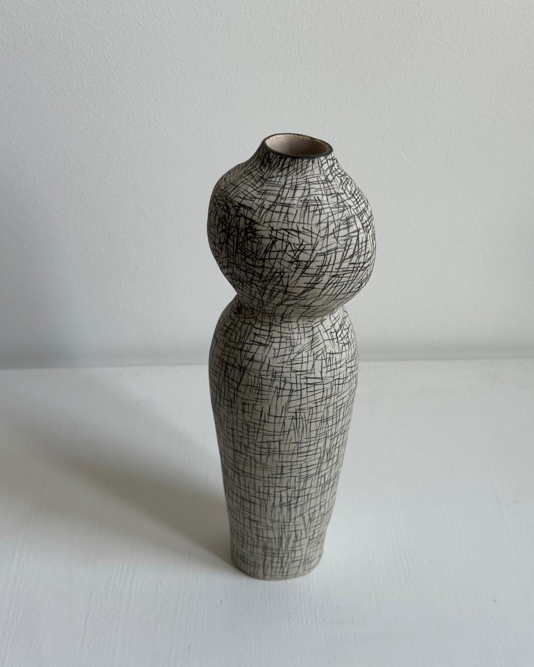 Regno animale [RA_07_44]