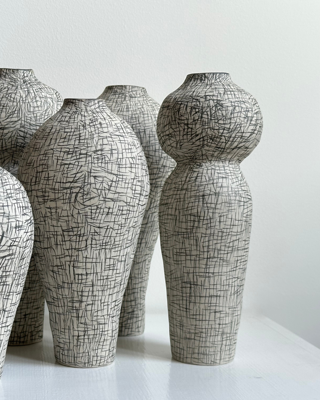 Regno animale [RA_07_44]