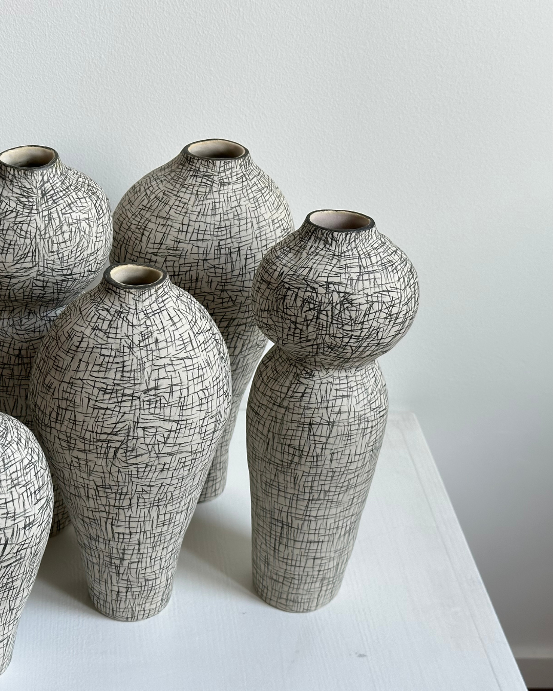 Regno animale [RA_07_44]