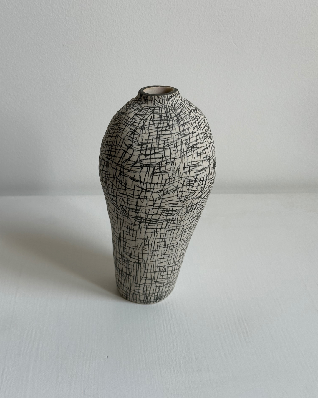 Regno animale [RA_07_42]