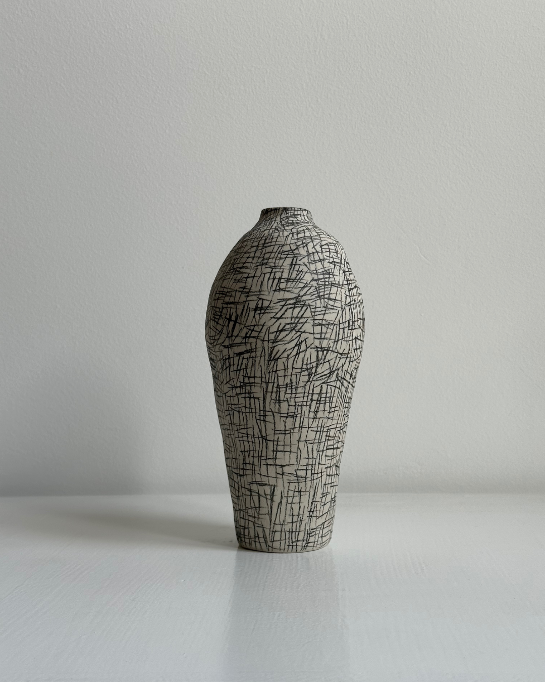 Regno animale [RA_07_42]