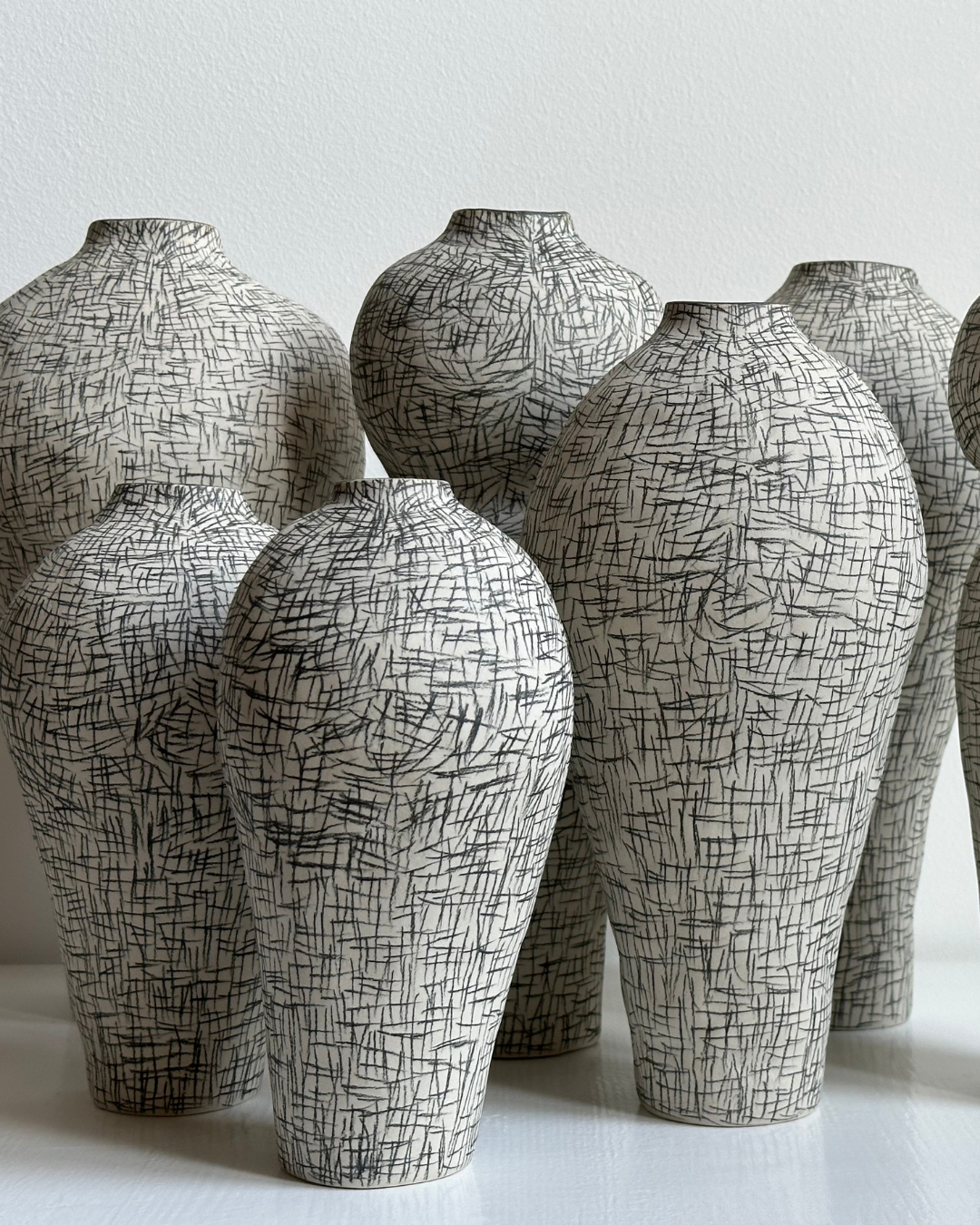 Regno animale [RA_07_42]