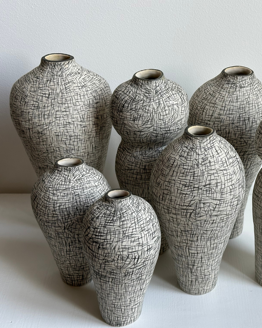 Regno animale [RA_07_42]