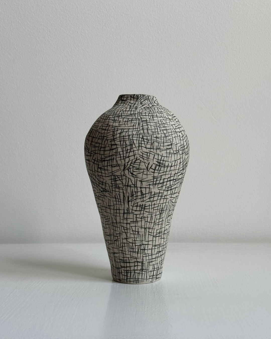 Regno animale [RA_07_43]