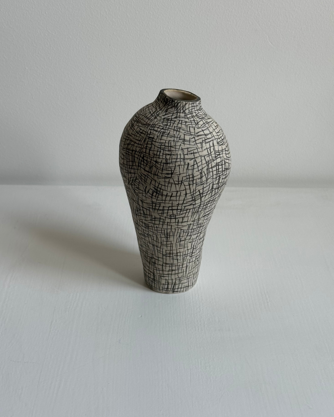 Regno animale [RA_07_43]