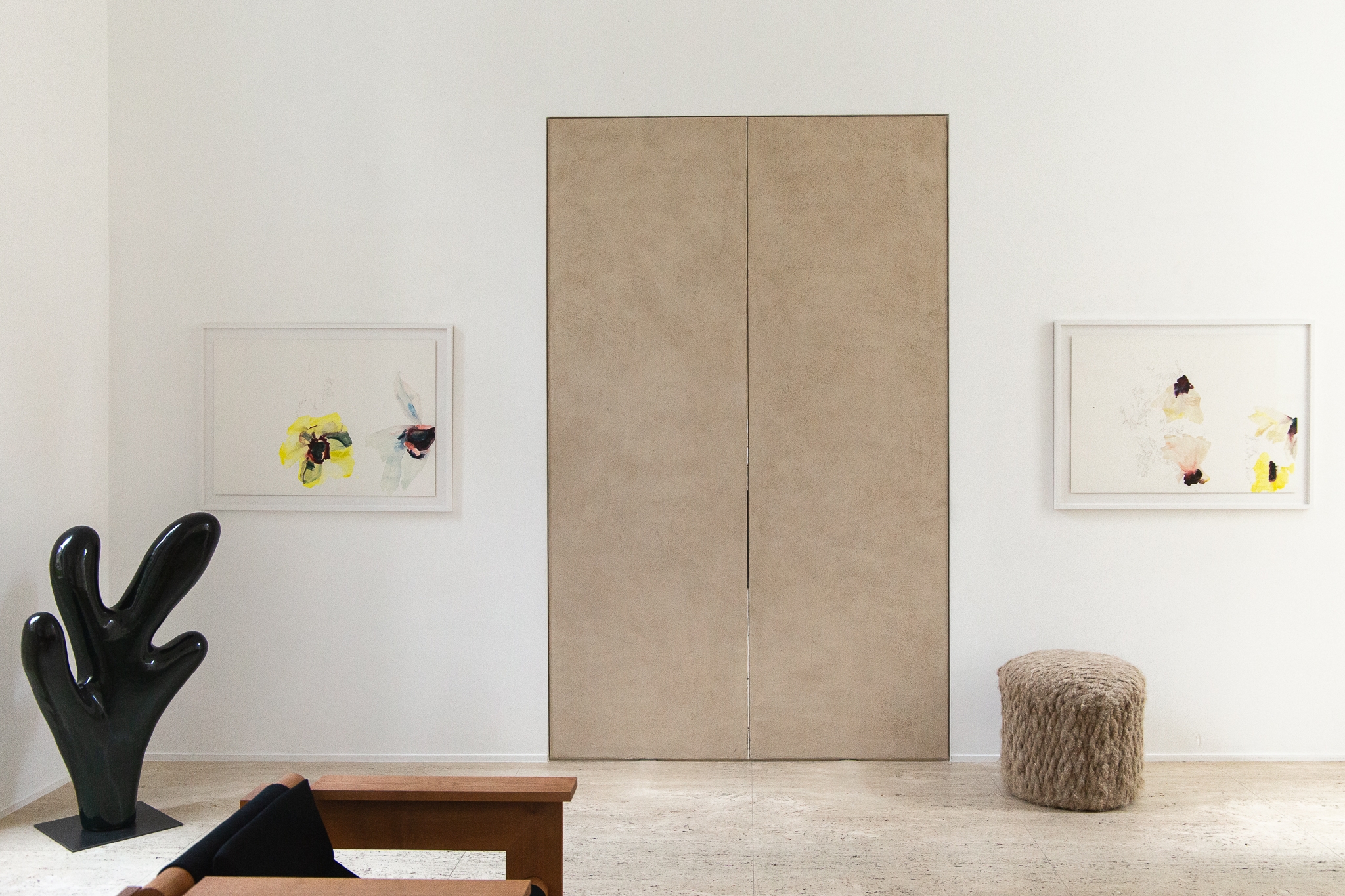 Anémones jours après jours 2