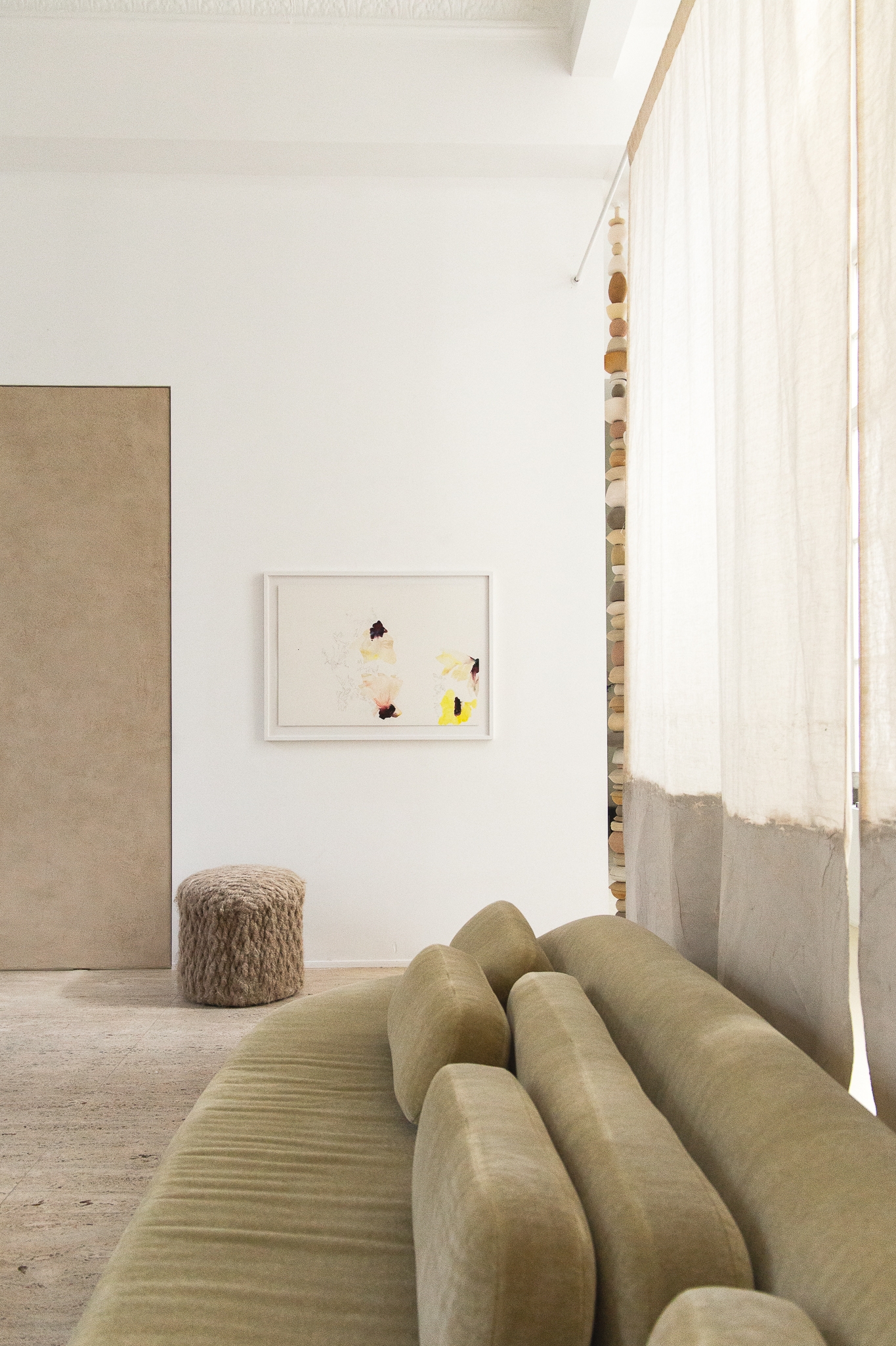 Anémones jours après jours 2