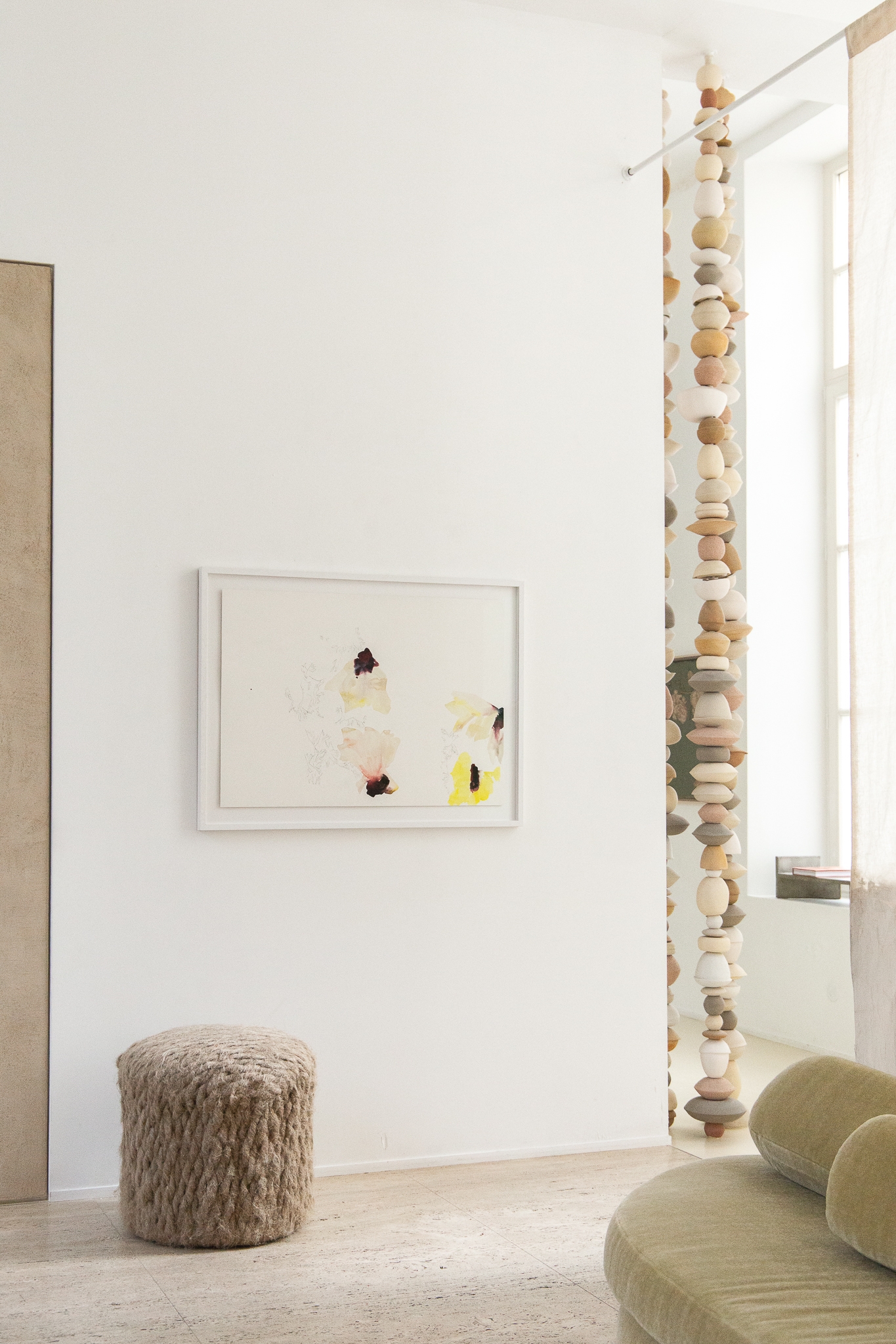 Anémones jours après jours 2