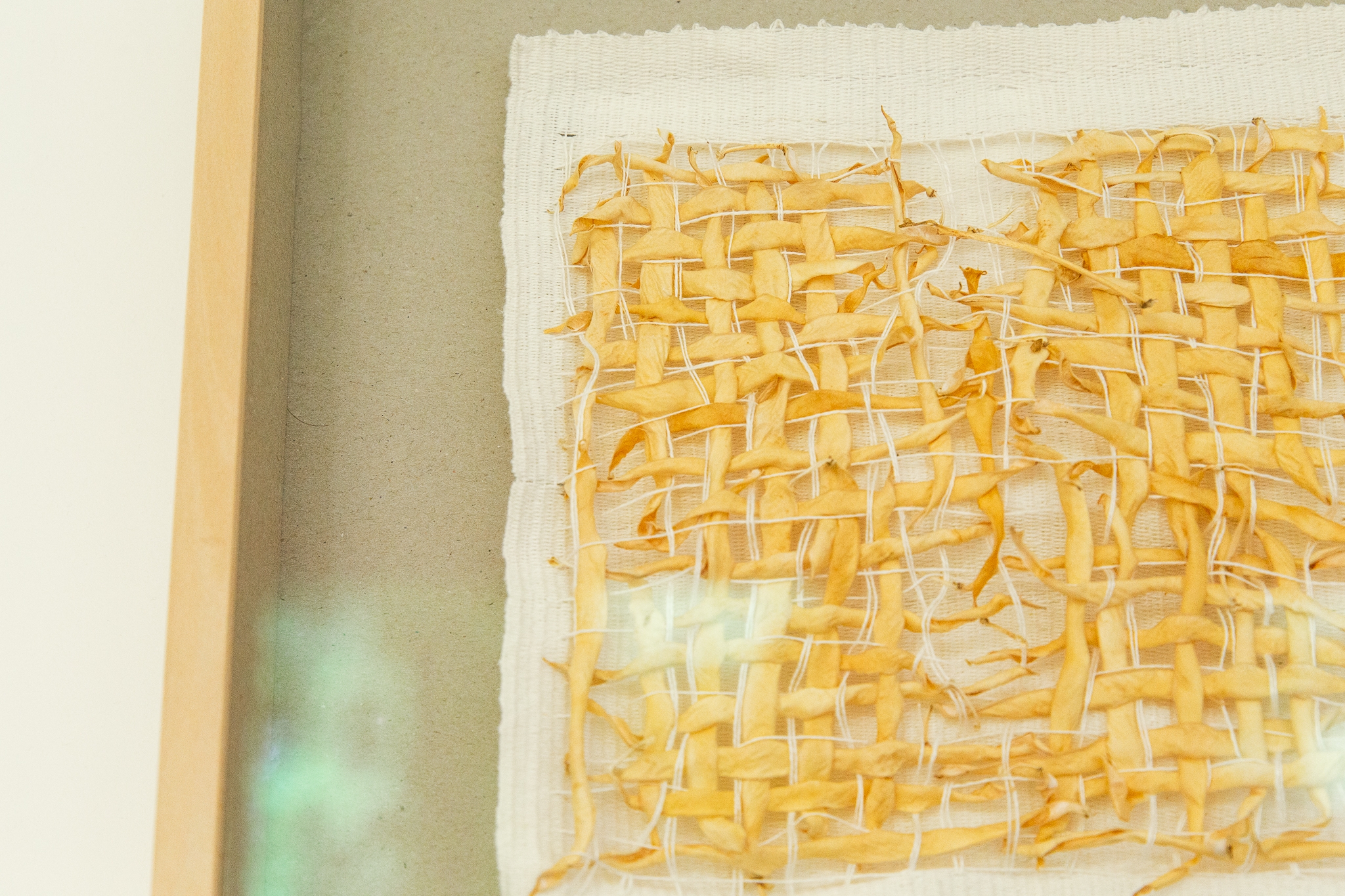 Relation - Coco jaune / Lin beige 2