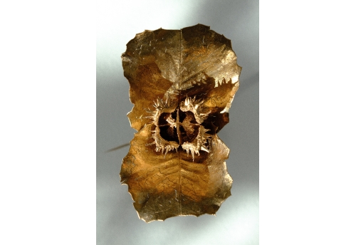 Temptation makes me feel alive