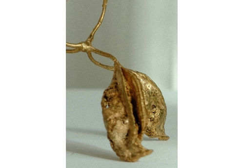 I march to the rythm of the trees