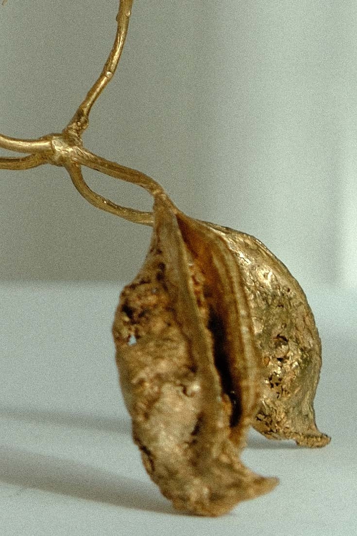 I march to the rythm of the trees