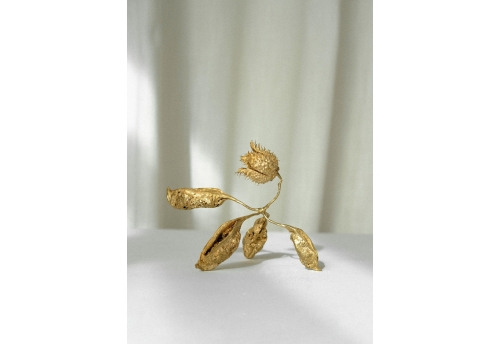 I march to the rythm of the trees