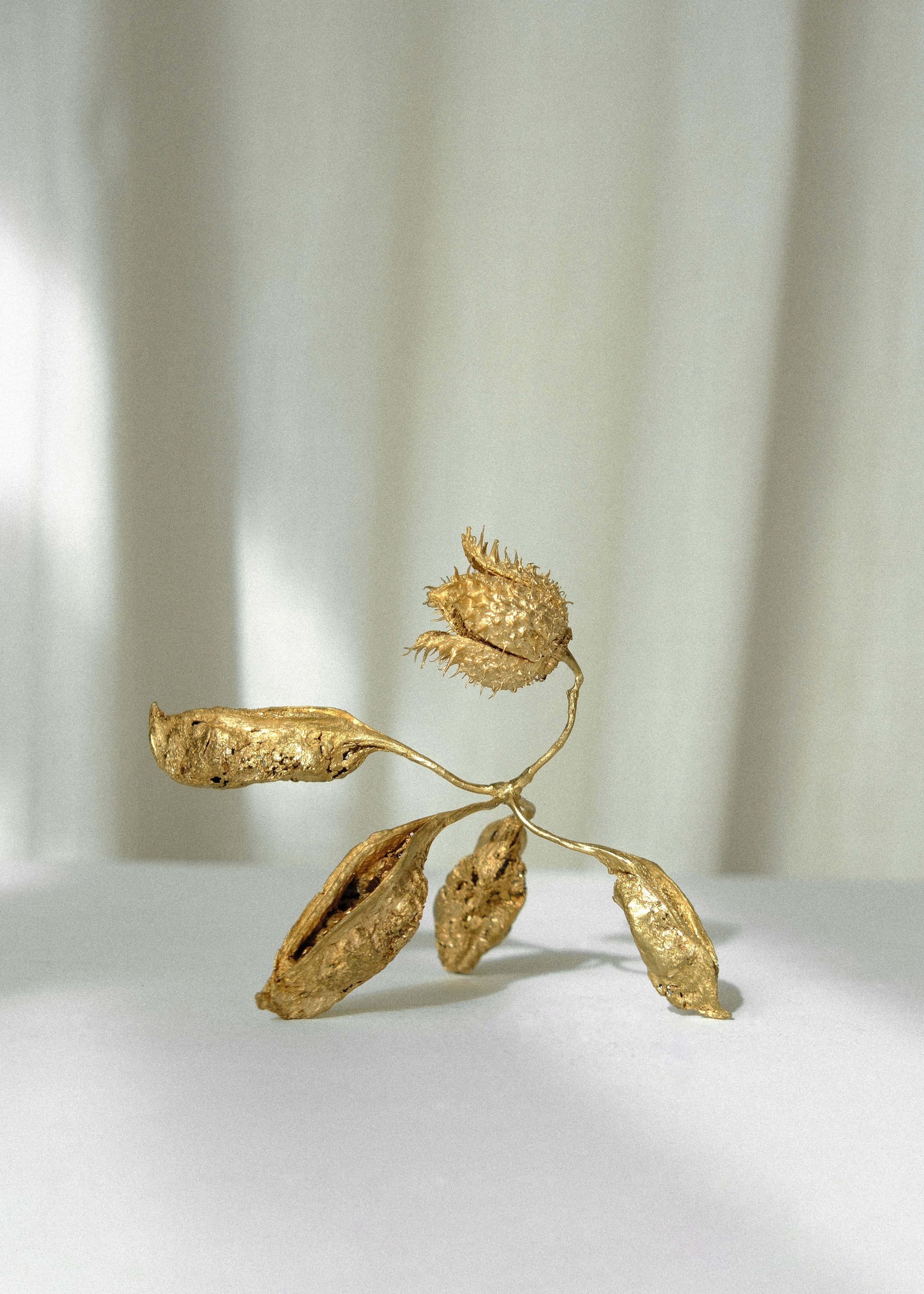 I march to the rythm of the trees