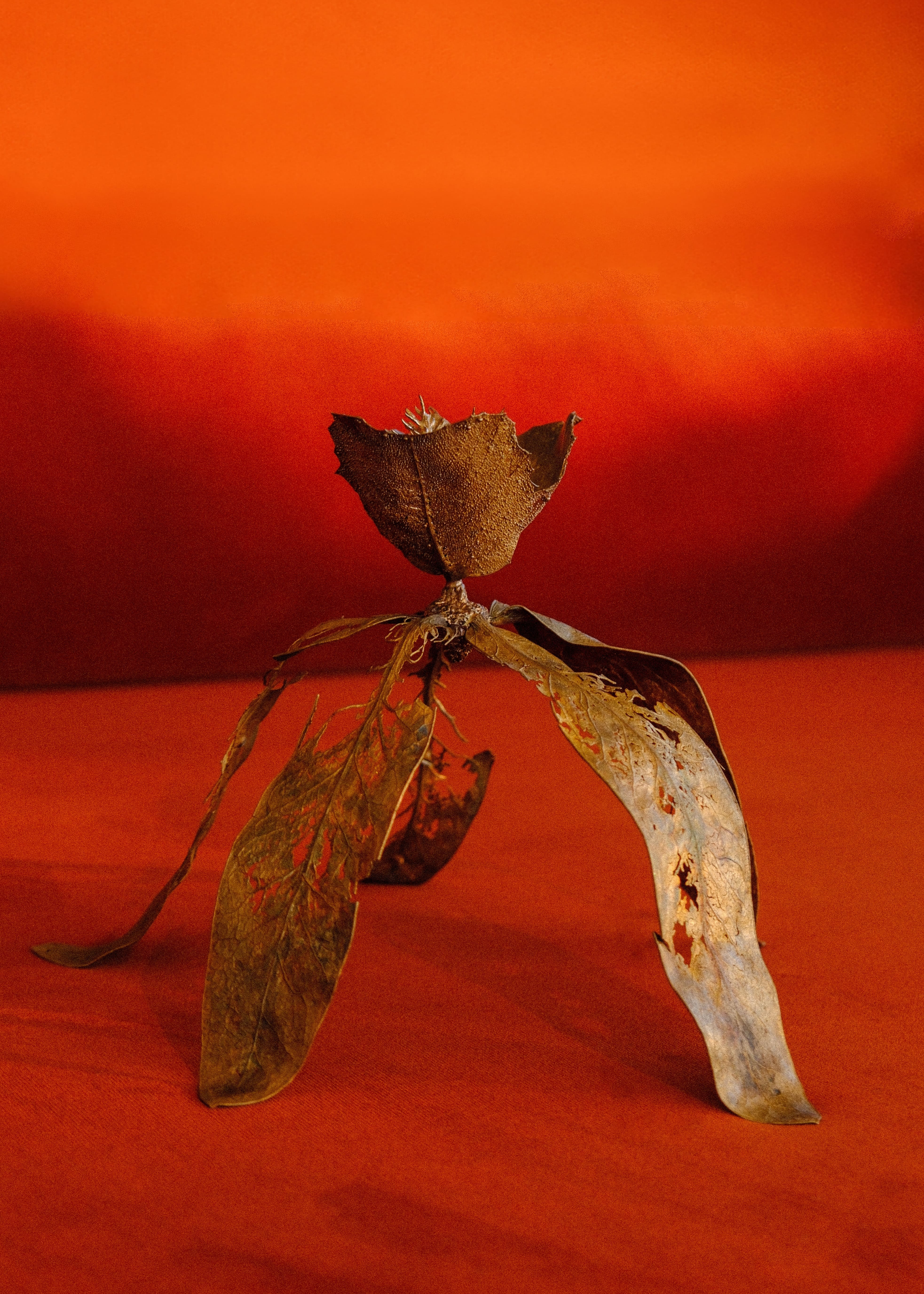 I live to overturn the imbalance