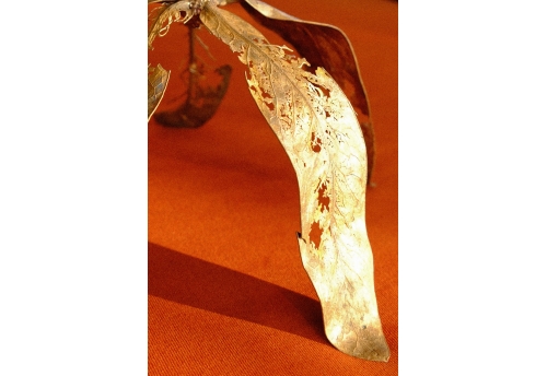 I live to overturn the imbalance