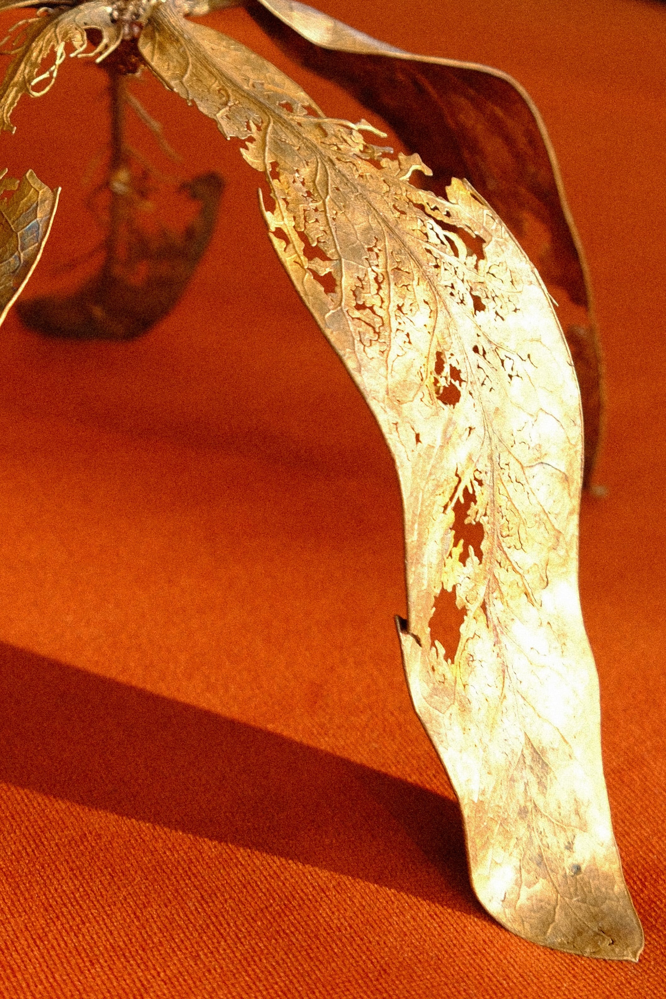 I live to overturn the imbalance