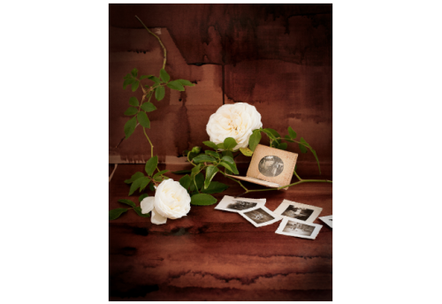 A mes grands-parents