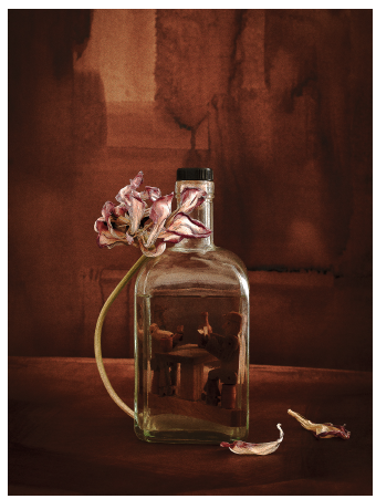 Les joueurs de cartes